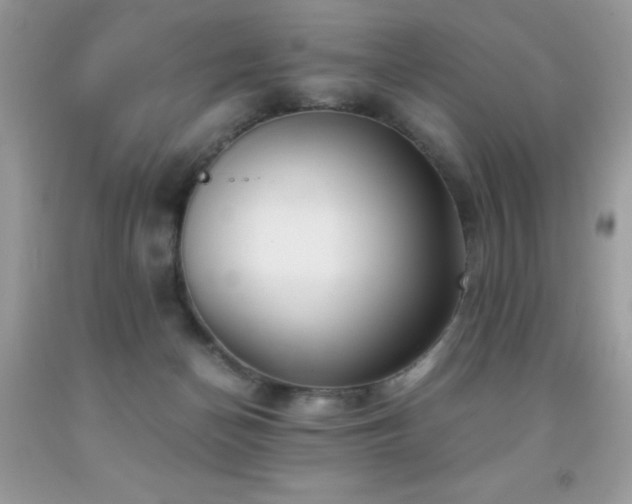 X0000091980174200709061402