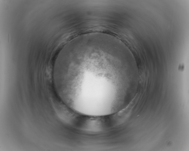 X0000091980175200709061402