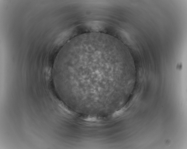 X0000091980177200709061402