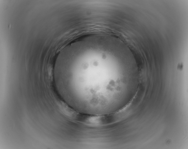 X0000091980178200709061402