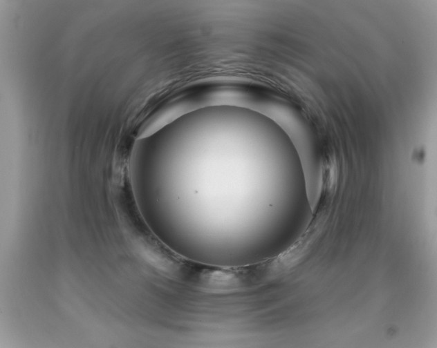 X0000091980180200709061402