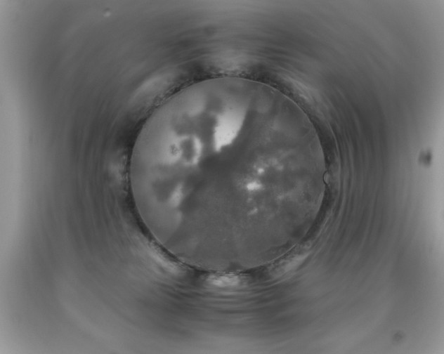 X0000091980181200709061402