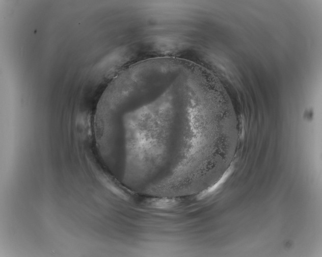 X0000091980182200709061402