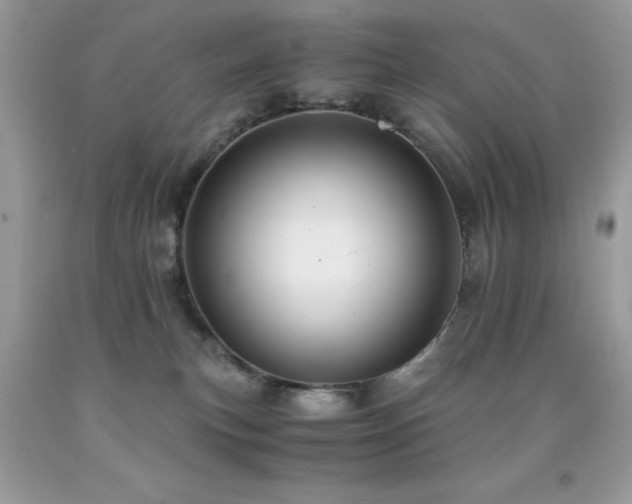 X0000091980183200709061402