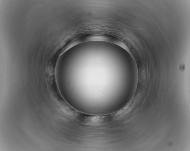 X0000091980184200709061402