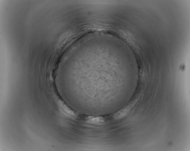 X0000091980185200709061402