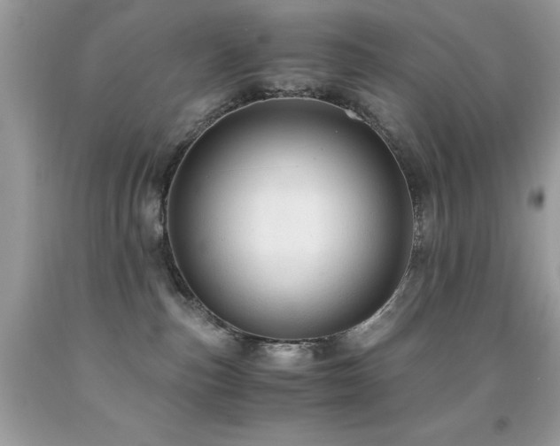 X0000091980187200709061402