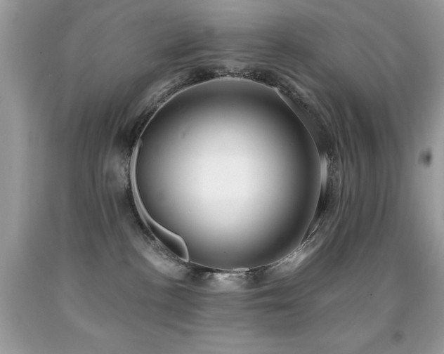 X0000091980188200709061402