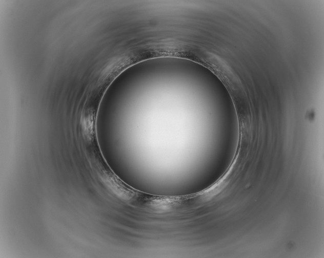 X0000091980190200709061402