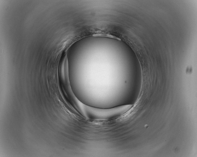 X0000091980192200709061402