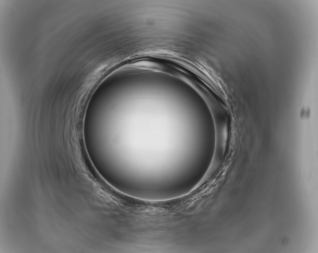 X0000091980193200709061402