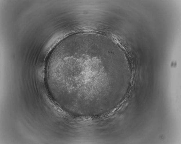 X0000091980194200709061402