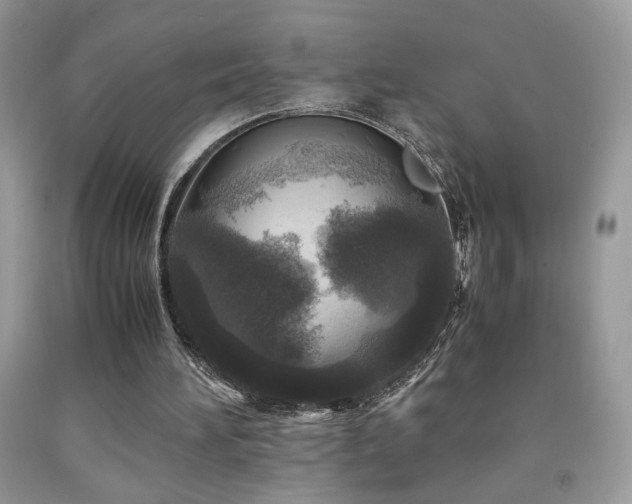 X0000091980196200709061402