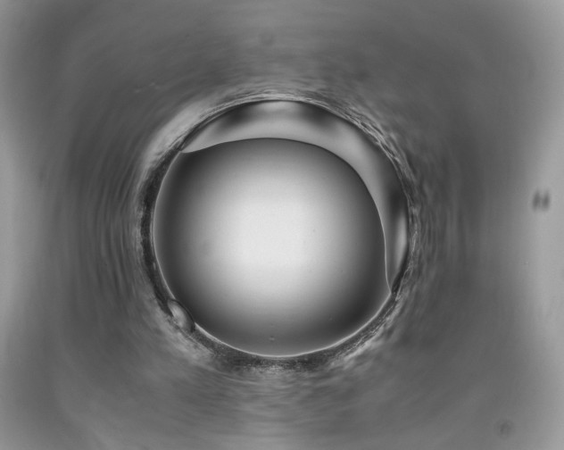 X0000091980197200709061402