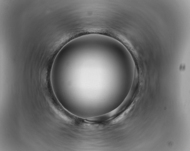 X0000091980201200709061402