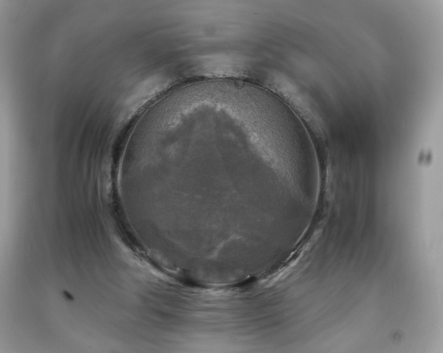 X0000091980202200709061402