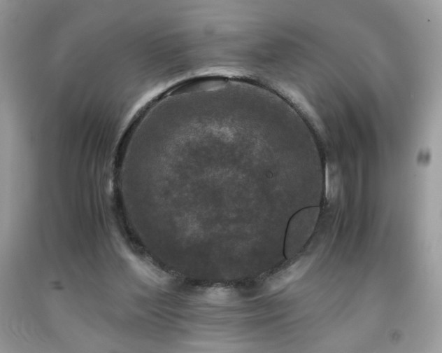 X0000091980204200709061402