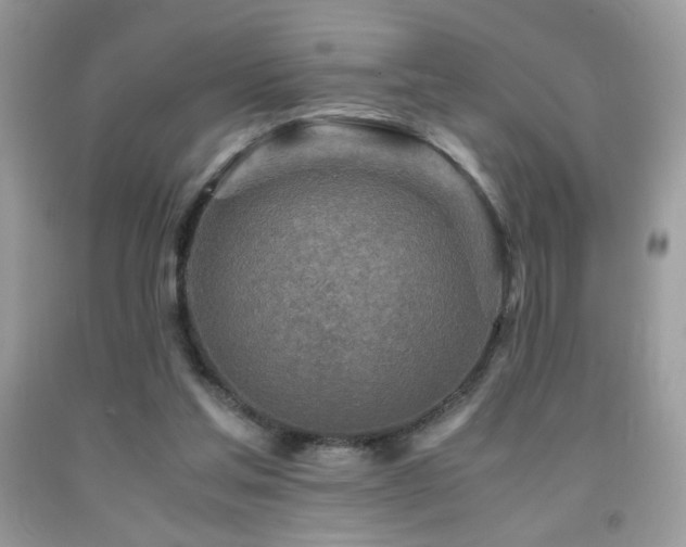 X0000091980205200709061402