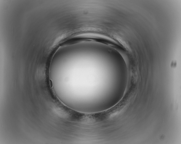 X0000091980207200709061402