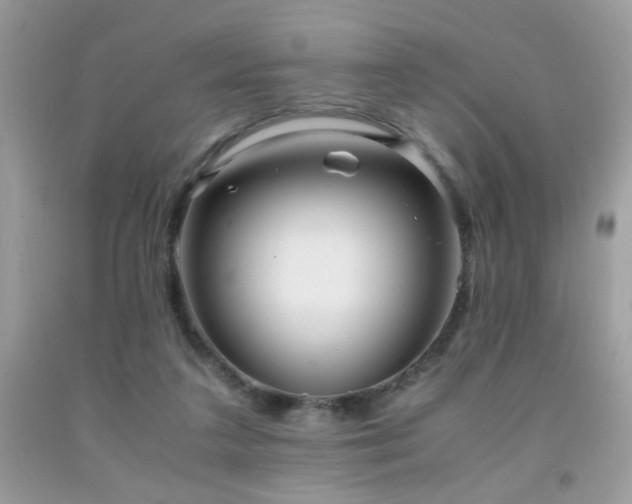 X0000091980211200709061401