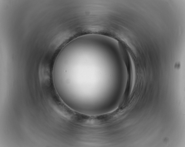 X0000091980212200709061401