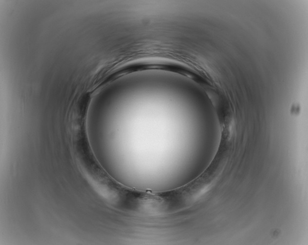 X0000091980215200709061401