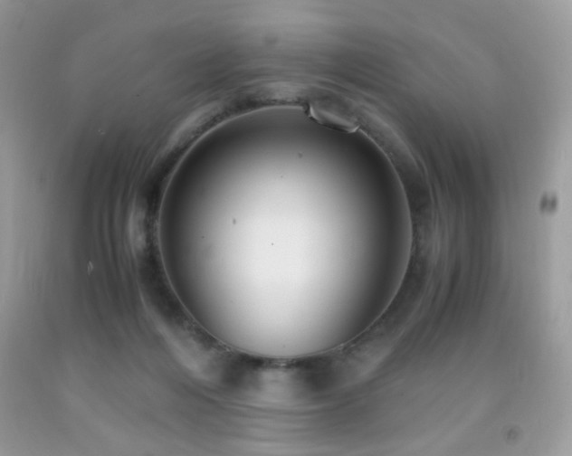 X0000091980216200709061401