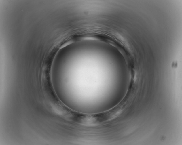 X0000091980217200709061401