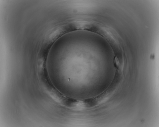 X0000091980219200709061401