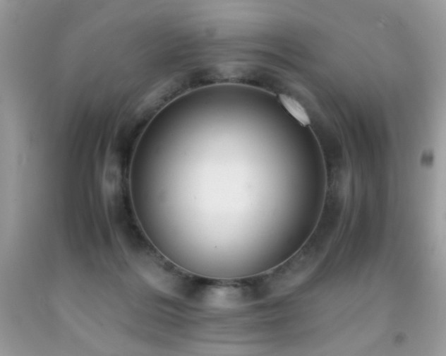 X0000091980220200709061401