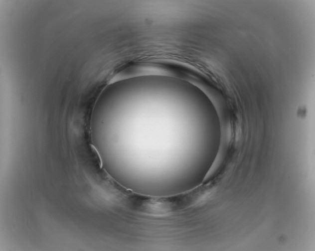 X0000091980221200709061401