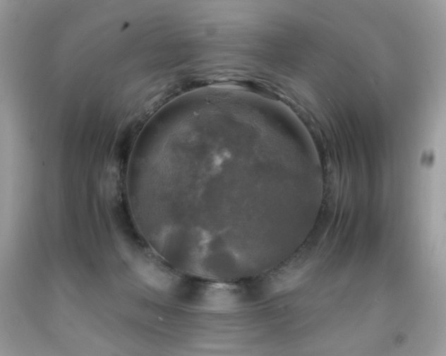 X0000091980222200709061401