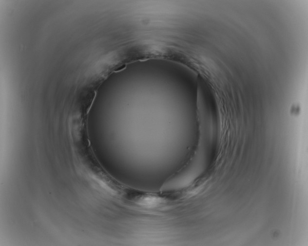 X0000091980223200709061401
