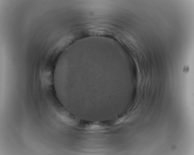 X0000091980224200709061401