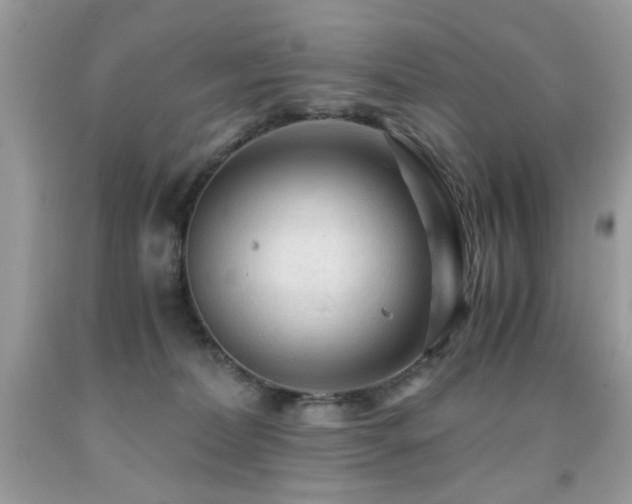 X0000091980228200709061401