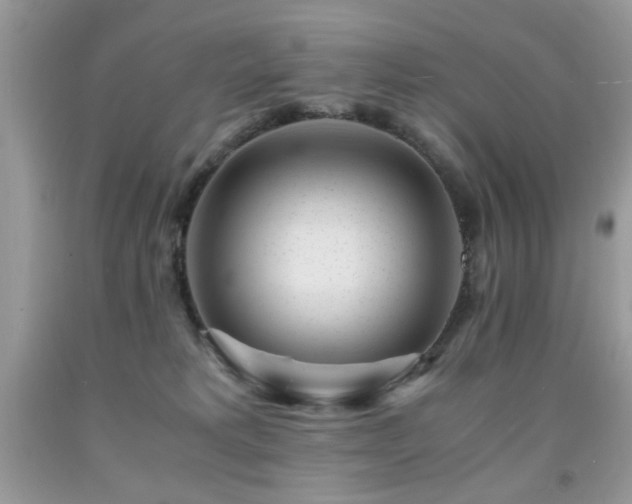 X0000091980229200709061401