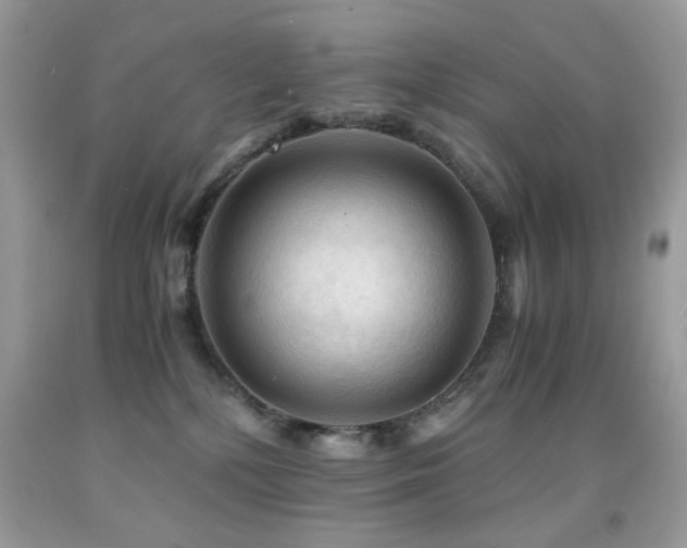 X0000091980232200709061401