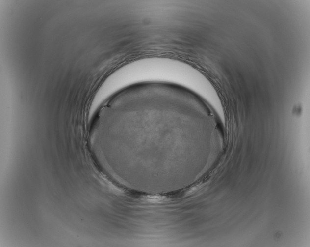 X0000091980233200709061401
