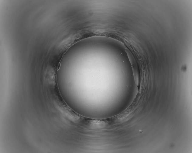X0000091980234200709061401