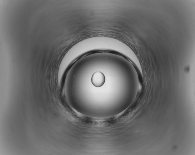 X0000091980235200709061401