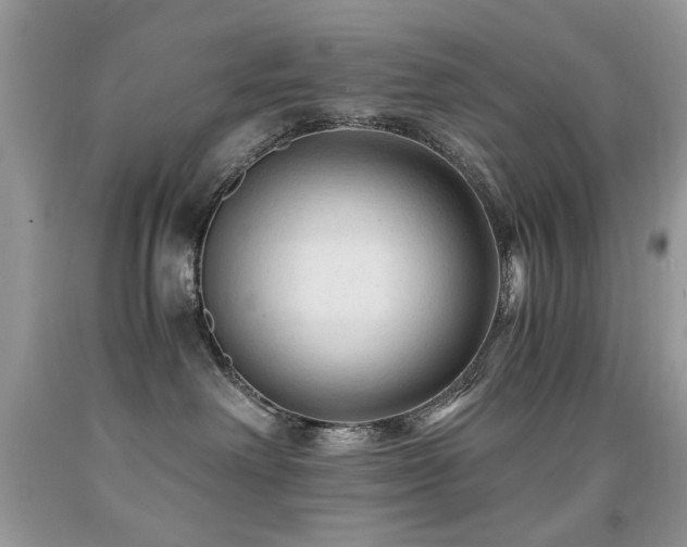 X0000091980238200709061401