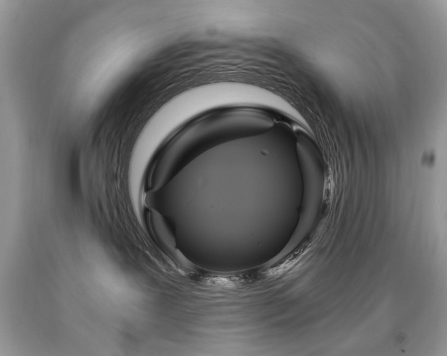 X0000091980239200709061401