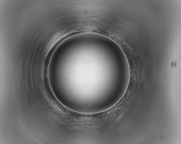 X0000091980242200709061401