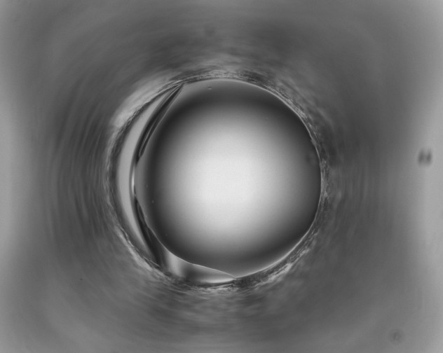 X0000091980245200709061401