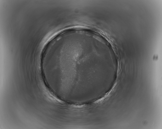 X0000091980247200709061401