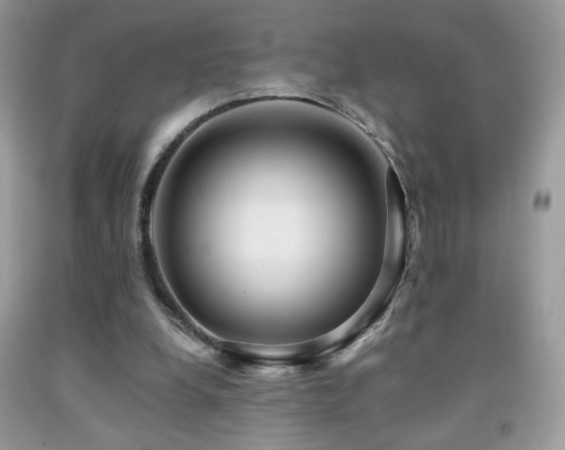 X0000091980248200709061401