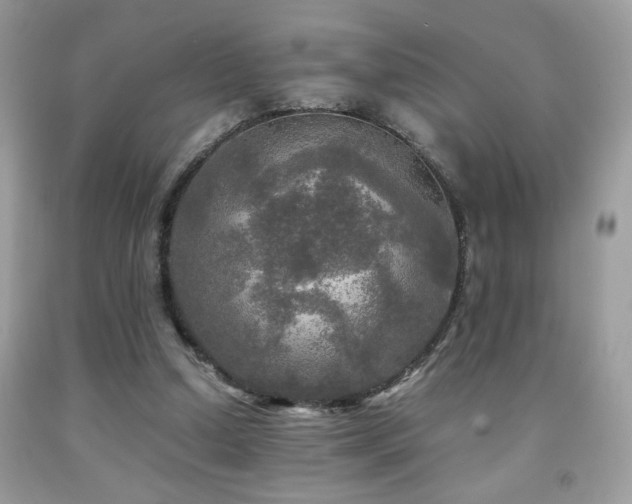 X0000091980250200709061401