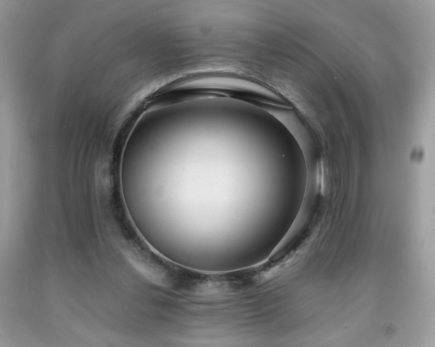 X0000091980252200709061401
