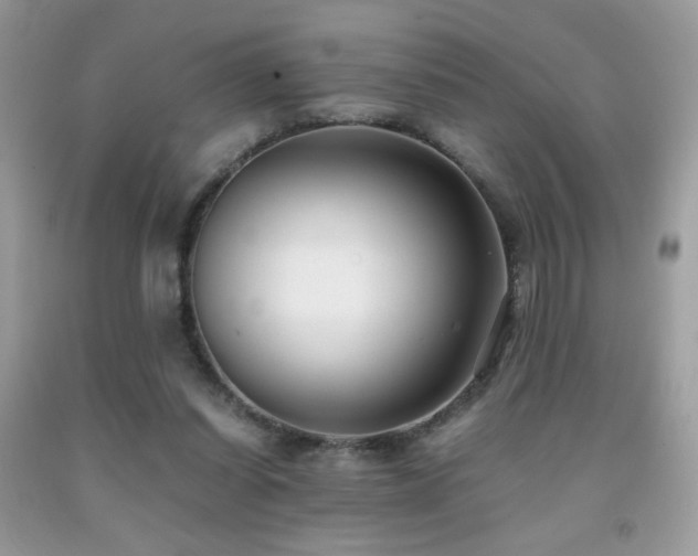 X0000091980254200709061401