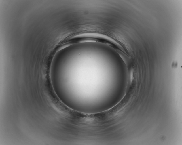 X0000091980255200709061401